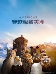 美洲大陆第一季