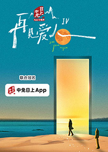 再见爱人第四季