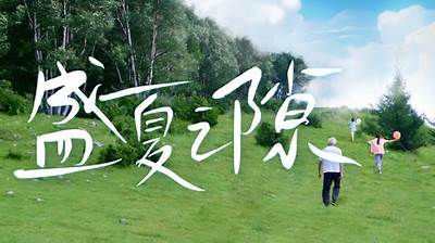 盛夏之隙