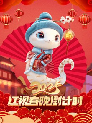 辽视春晚倒计时