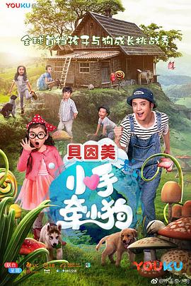 猫与桃花源
