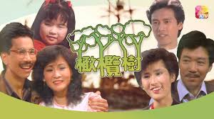 橄榄树
