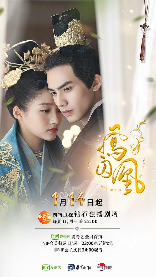 我的美女老师