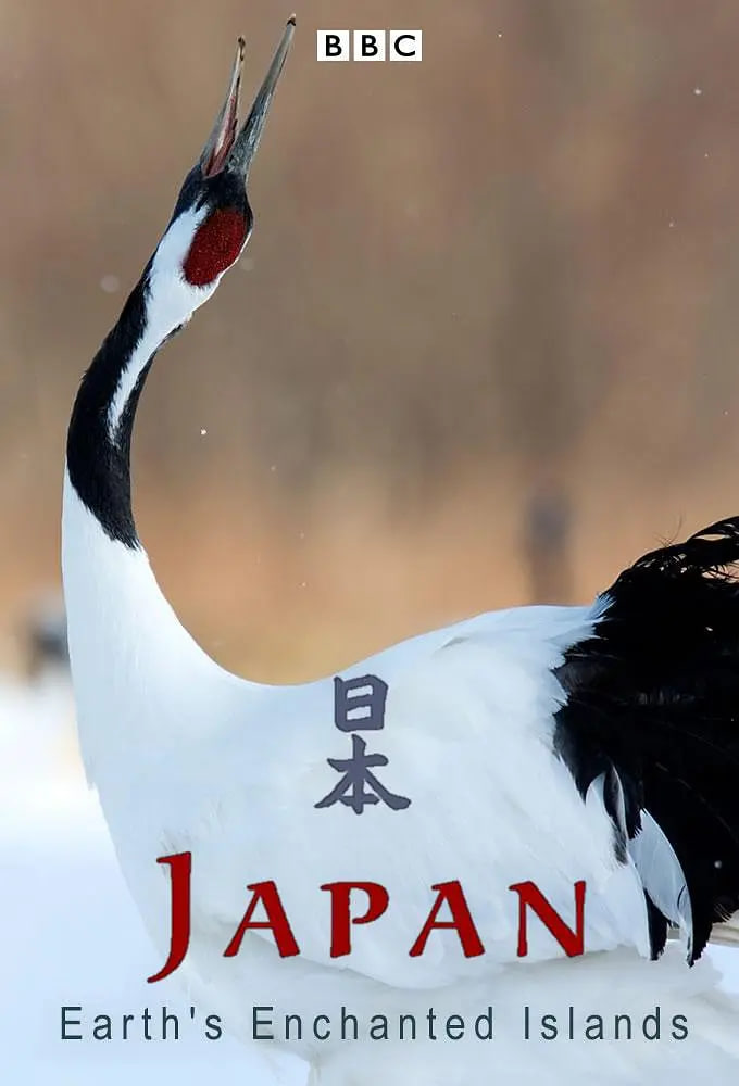 后宫